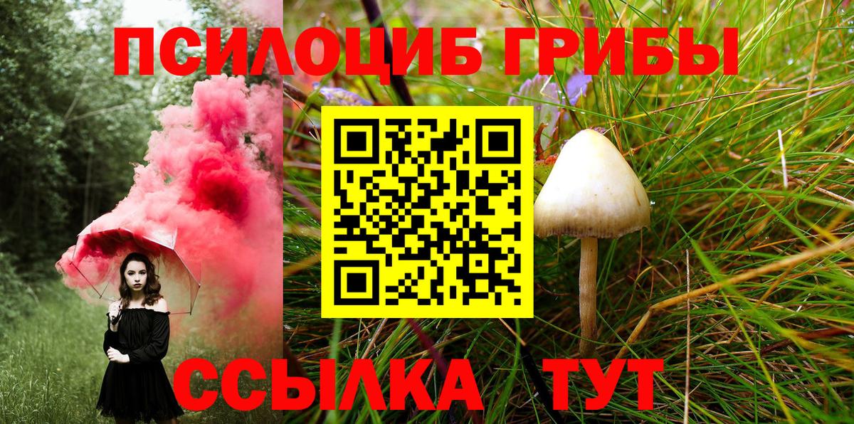 Псилоцибиновые грибы прущие грибы  Вход с VPN  Комсомольск-на-Амуре 